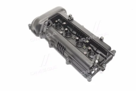 Крышка клапанов (пр-во Mobis) Hyundai/Kia/Mobis 224102B002