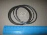 Кільця поршневі STD 2000 CC - BETA,DOHC - MPI Mobis Hyundai/Kia/Mobis 23040-23400 (фото 1)