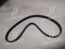 Ремень ГРМ (Выр-во Mobis) Hyundai/Kia/Mobis 2431226050 (фото 5)