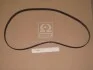 Ремінь грм (вир-во Mobis) Hyundai/Kia/Mobis 2431237400 (фото 1)