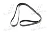 Ремінь поліклиновий Hyundai Tucson/Kia Sportage 04- (вир-во Mobis) Hyundai/Kia/Mobis 2521237182 (фото 1)