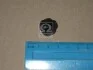 Пробка сливная радіатора охолодження Hyundai/Kia/Mobis 253182F000 (фото 2)