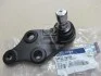 Шаровая опора передняя нижняя (выр-во Mobis) Hyundai/Kia/Mobis 545303S100 (фото 2)