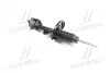 Амортизатор (вир-во Mobis) Hyundai/Kia/Mobis 553602E500 (фото 3)