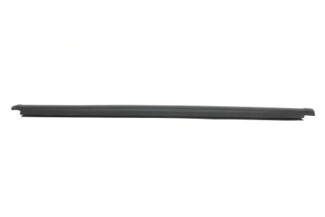 Уплотнитель стекла двери (задней/наружный/R) Hyundai Getz 02-11 Hyundai/Kia/Mobis 832201C001