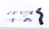 Патрубок радиатора Renault Clio II/Kangoo 1.4/1.6 97-08 IMPERGOM 223174 (фото 1)