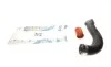 Патрубок интеркулера Renault Master III/Opel Movano B 2.3dCi 10- (к-кт 2 шт.) IMPERGOM 224528 (фото 1)