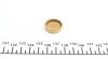 Заглушка блока цилиндров (d=22,2mm) Латунь/Brass IMPERGOM 40955 (фото 2)