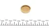 Заглушка блока цилиндров (d=27,5mm) Латунь/Brass IMPERGOM 40963 (фото 2)
