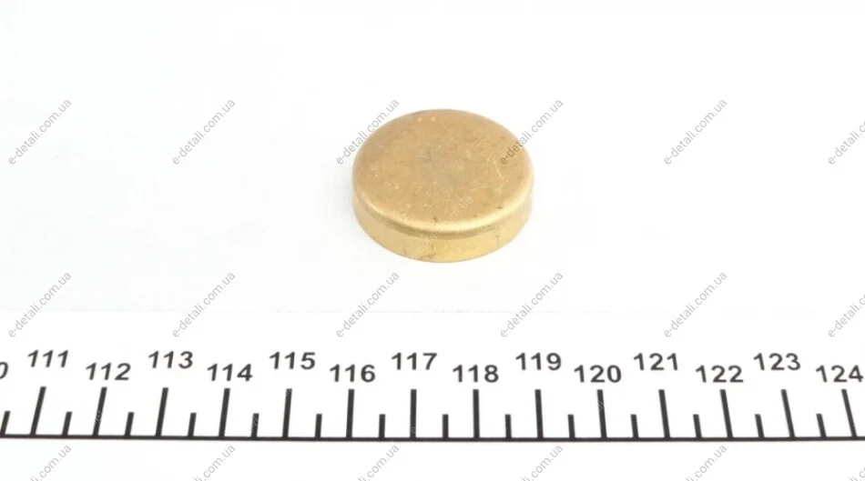 Заглушка блоку циліндрів (d=32,6mm) Латунь/Brass IMPERGOM 40968 (фото 1)