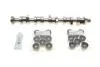 Комплект розподільчого валу VW T5 2.5 TDI 03-09, 96/120/128kw, (BNZ,AXD,BPC,AXE,BLJ) INA 428 0040 30