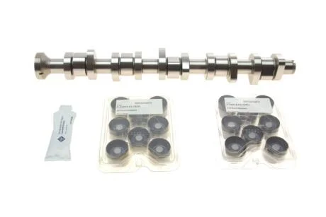 Комплект распредвала VW T5 2.5TDI 03-09, 96/120/128kw, (BNZ,AXD,BPC,AXE,BLJ) INA 428 0040 30