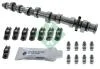 Розподільний вал VW Caddy/Golf/Passat 1.6 04-15 (к-кт) INA 428 0050 30