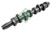 Розподільний вал VW Caddy III 1.9TDI (BJB,BSU,BLS) 55/77kw 04-10/VW T5 1.9TDI (BRS,BRR) 62/75kw 06-09 INA 428015910 (фото 1)