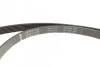 Комплект ременя генератора Ford Fiesta/Mazda 2 1.4D 01-12 (6PK 1705) INA 529 0012 10 (фото 2)