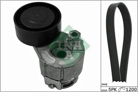 Комплект ремня генератора Renault Kangoo/Clio/Scenic/Megane 1.4/1.5dCi/1.6 00- (5PK1200) INA 529 0015 10