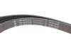 Комплект ремня генератора Peugeot Expert/Citroen Jumpy 2.0/2.2 HDI 99- (6PK1740) INA 529 0017 10 (фото 2)