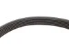 Комплект ременя генератора Citroen Berlingo/Peugeot Expert/Partner 1.6 HDi05- (6PK1708) INA 529 0046 10 (фото 3)