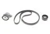 Комплект ременя генератора Renault Megane/Scenic 00-09, (5PK1750) INA 529 0082 10