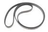 Комплект ремня генератора Renault Megane/Scenic 00-09, (5PK1750) INA 529 0082 10 (фото 11)
