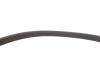 Комплект ремня генератора Renault Megane/Scenic 00-09, (5PK1750) INA 529 0082 10 (фото 9)