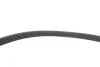 Комплект ремня генератора Renault Megane/Scenic 00-09, (5PK1750) INA 529 0082 10 (фото 9)