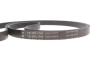 Комплект ремня генератора Renault Megane/Scenic 00-09, (5PK1750) INA 529 0082 10 (фото 10)