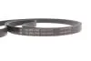 Комплект ремня генератора Renault Megane/Scenic 00-09, (5PK1750) INA 529 0082 10 (фото 10)