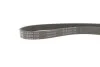 Комплект ремня генератора Audi A4/A5/A6 1.8/2.0 TFSI 08-18, (6PK1100) INA 529 0085 10 (фото 6)