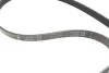 Комплект ременя генератора VW Passat 96-05 (5PK1300) INA 529 0096 10 (фото 2)