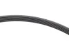 Комплект ременя генератора VW Passat 96-05 (5PK1300) INA 529 0096 10 (фото 3)