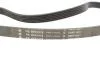 Комплект ременя генератора Audi A2/Seat Ibiza/Skoda Fabia/VW Golf/Polo 1.4/1.6/1.6FSI 97- (6PK 1078) INA 529 0103 10 (фото 2)