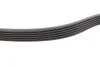 Комплект ременя генератора Audi A2/Seat Ibiza/Skoda Fabia/VW Golf/Polo 1.4/1.6/1.6FSI 97- (6PK 1078) INA 529 0103 10 (фото 3)