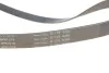 Комплект ремня генератора Citroen Jumpy/Fiat Scudo/Peugeot Expert 2.0HDi 04- (6PK1218) INA 529 0105 10 (фото 3)