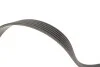 Комплект ремня генератора Citroen Jumpy/Fiat Scudo/Peugeot Partner/306/Expert 1.9D 98-15 (6PK1438) INA 529 0107 10 (фото 3)