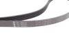 Комплект ремня генератора MB Sprinter/Vito 2.2-2.7 CDI 00-06 (6PK2260) INA 529 0115 21 (фото 14)