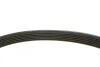 Комплект ремня генератора Citroen Jumpy/Peugeot Expert 1.9D 98-06 (6PK1390) INA 529 0157 10 (фото 3)