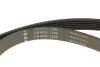 Комплект ремня генератора Citroen Jumpy/Peugeot Expert 1.9D 98-06 (6PK1390) INA 529 0157 10 (фото 5)