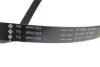 Комплект ременя генератора VW Golf 1.2/1.4TSI 12-/Skoda Octavia 1.2-1.6 12- (6PK1003) INA 529 0159 10 (фото 3)
