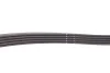 Комплект ремня генератора Renault Kangoo 1.5 dCi 01- (5PK1133) INA 529 0178 10 (фото 3)
