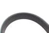 Комплект ремня генератора Audi A4/A6/Q5/Q7 3.0TFSI/VW Touareg 3.0 V6 TSI Hybrid 10-18 (7PK1272) INA 529024510 (фото 4)