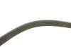 Комплект ремня генератора Citroen Jumpy/Peugeot Expert 2.0 HDi 09- (6PK1245) INA 529 0291 10 (фото 2)