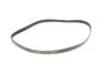 Комплект ремня генератора Citroen Jumpy/Peugeot Expert 2.0 HDi 09- (6PK1245) INA 529 0291 10 (фото 4)