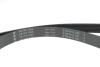Комплект ремня генератора Renault Clio IV/Kangoo/Megane III/Scenic III 0.9/1.2 TCe 12- INA 529031610 (фото 4)