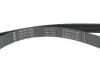 Комплект ременя генератора Renault Clio IV/Kangoo/Megane III/Scenic III 0.9/1.2 TCe 12- (7PK1605) INA 529031610 (фото 4)