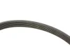 Комплект ремня генератора Citroen Jumper/Peugeot Boxer 2.2 HDi 06- (6PK1640/4EPK922) INA 529 0322 10 (фото 3)