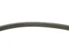 Комплект ремня генератора Citroen Jumper/Peugeot Boxer 2.2 HDi 06- (6PK1640/4EPK922) INA 529 0322 10 (фото 6)