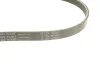 Комплект ремня генератора Citroen Jumper/Peugeot Boxer 2.2 HDi 06- (6PK1640/4EPK922) INA 529 0322 10 (фото 7)