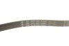 Комплект ремня генератора Citroen Jumper/Peugeot Boxer 2.2 HDi 06- (6PK1640/4EPK922) INA 529 0322 10 (фото 8)