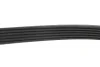 Комплект ремня генератора Chevrolet Cruze/Orlando/Opel Astra/Insignia 08- (6PK1555) INA 529 0327 10 (фото 6)